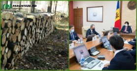 Guvernul Gavriliță INTERVINE pentru a stopa scumpirea lemnelor de foc. Alocă Agenției Moldsilva 64,2 milioane lei